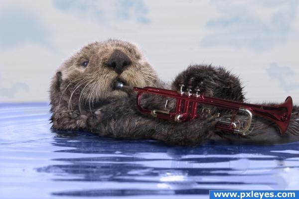 Blues Jazz Otter